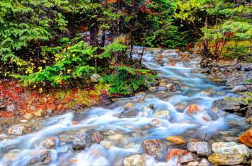 Creek at Moraine Lake